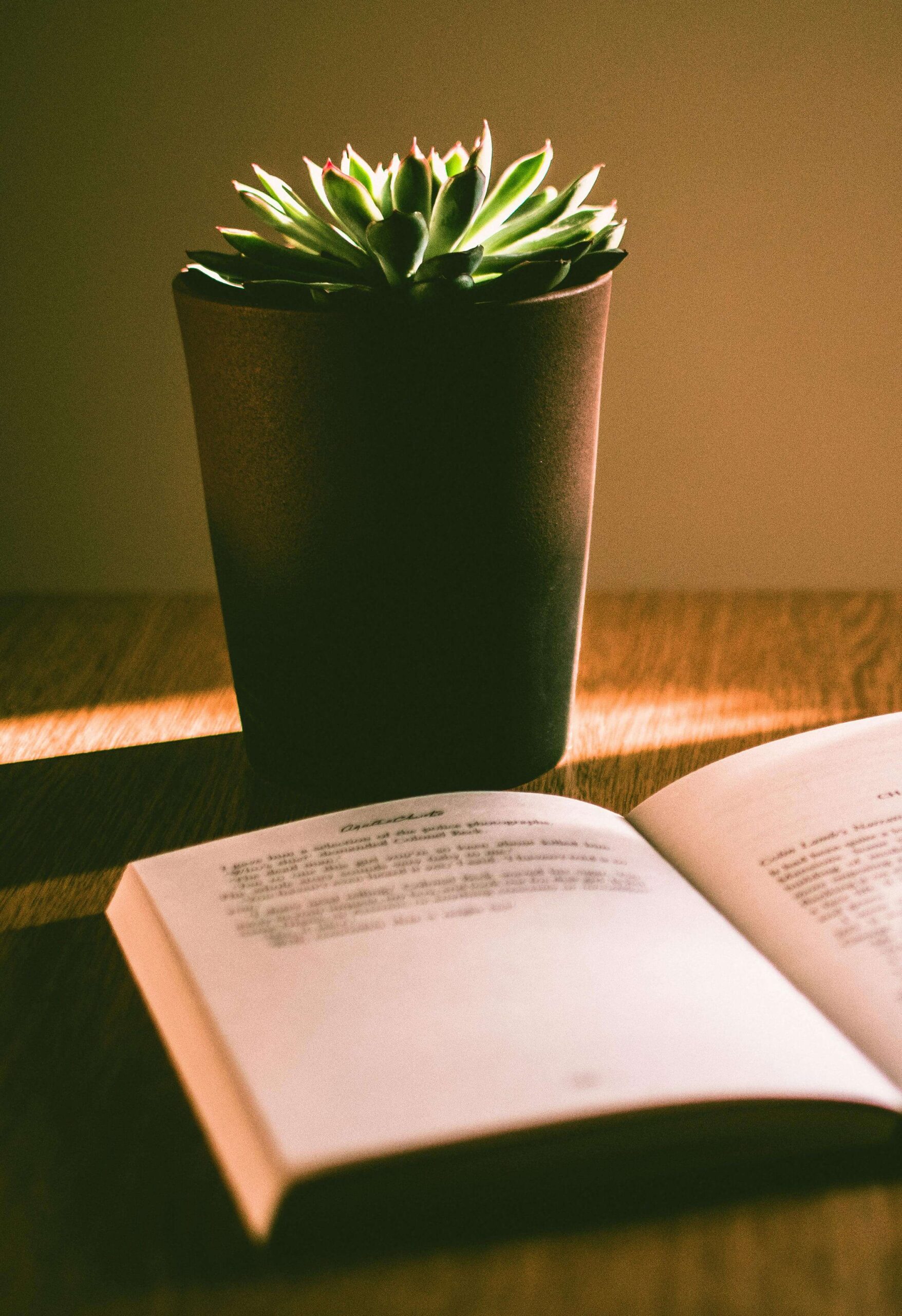 book and indoor plant in a pot